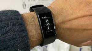 Fitbit 3